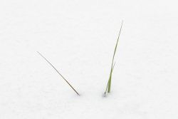 05wilhelm kleinder minimalismus 04
